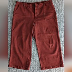 Wide Leg Rust Denim Pants